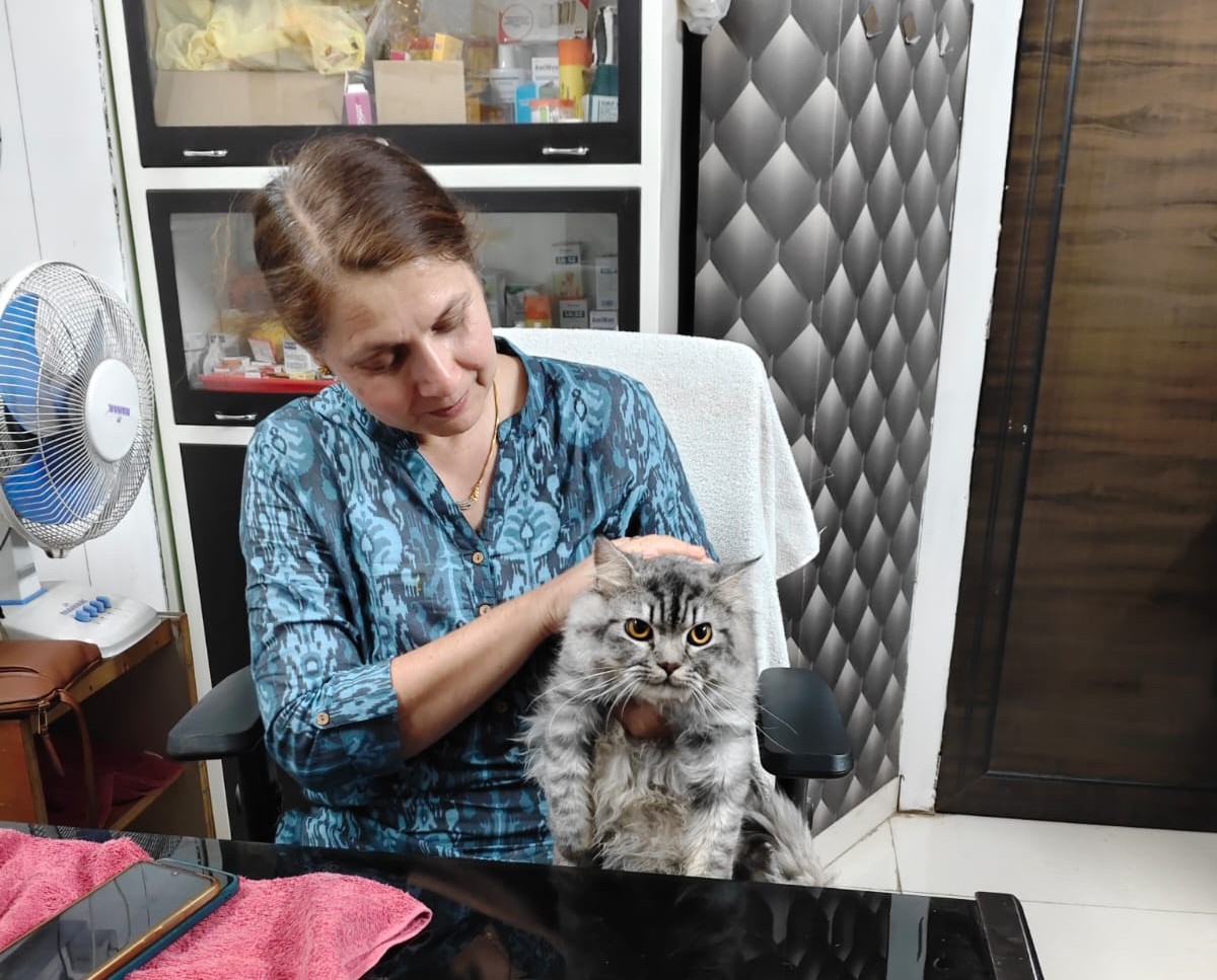 Veterinary Consultation